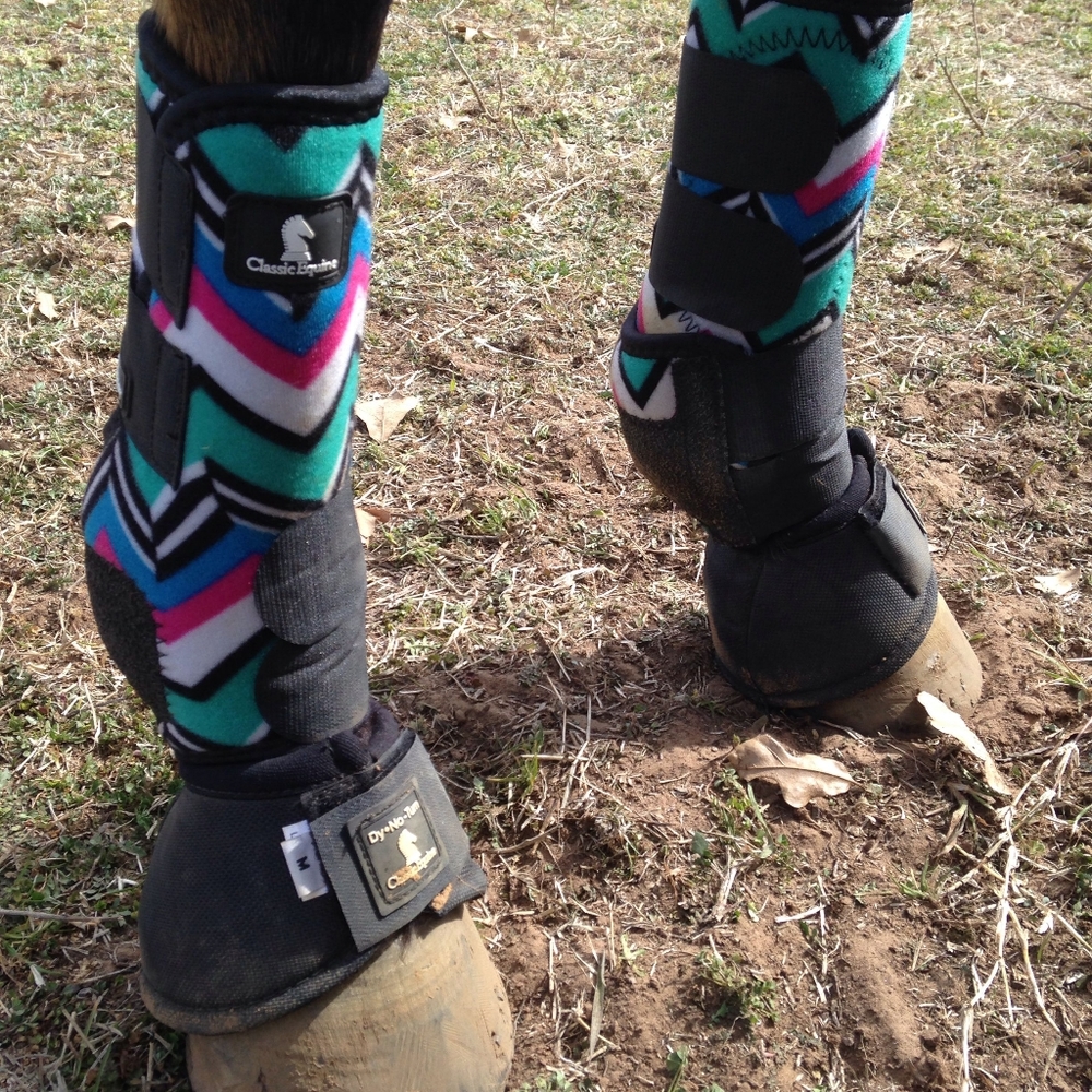 Classic Equine Chevron FRONTS